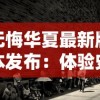 深入解析明末渊虚之羽百科：从起源历程到高超技艺，揭秘古代翰墨艺术的独特魅力