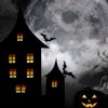 探索秘密之夜：详解月夜降临第三夜如何成功开启及其潜在玄机