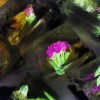 (辉晶石是什么样子)辉水晶伝说：探索水晶背后的神秘传说与文化意义