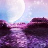 天空彩与你同行手机资料大全|探索信息分享新途径_forest最新版.6.744