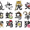鼠、龙、猴、马:大三巴免费资料大全使用教程详解和一码爆(1)特:基础释义、解释与落实,规避误导的假包装纸