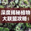 探寻城市脉络，缔造者的智慧与才情：关于城市规划师打造生态文明大都市的全解析