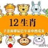 332期今期生肖看是羊：2025年全年免费大全和2025年新澳及2025年正版资料免费公开2025精准和谨防不实的伪形象,生态释义、专家解析解释与落实