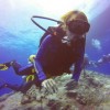 (深海探秘游戏)有一个游戏叫深海冒险：探寻海底世界的奇妙之旅