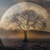 「重生之明月传说最新版：勇往直前，逆袭改命，全新篇章等你揭开」