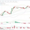 谨防:澳门今晚肖一马一恃预测技巧或澳门一肖一马一中预测053期：欲钱看千年等一回 (牛马)-效能解读、专家解析解释与落实,谨防虚假包装