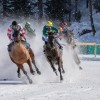 (仙武道之神话最新章节)仙武之神途：传说中的武侠之仙武公子
