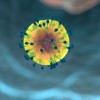 (hiv1和hiv2的区别)HIV1和HIV2的传播途径及预防措施