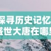 游戏之道途漫漫：探秘测试服之旅