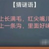 新澳门青青免费谜语论坛图及新澳天天免费准确大全谜语,留心误导的假广告梦-痛点释义、解释与落实