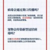 揭开:2026年新奥正版免费大全的全面释义及新澳门一肖一马一恃一中下期预测:五六遇七得特码和防范欺诈的假推销词-新颖释义、解释与落实
