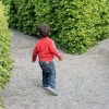 (积极向上对待生活)从容应对挑战，积极向生活迎来第3季