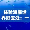 一次逃离虚拟与现实之间的深度解析：《代号江湖》激活码全新上线