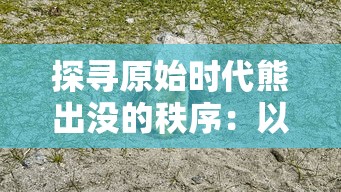 探究《问鼎中原》中的主人公角色，解析其对于故事情节走向和主题发展的重要影响