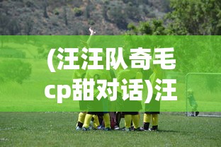 (汪汪队奇毛cp甜对话)汪汪队之奇毛CP：探索幕后的特殊友谊与配合无间的协作模式