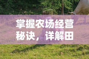 详解斗罗十年龙王传说：精彩剧情、角色分析与资源下载全在百度云