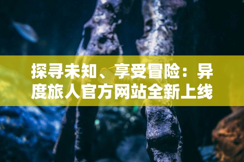 详解动画巨头梦工场大冒险突然下架背后复杂原因：版权纠纷或产品策略调整？