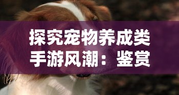 探究宠物养成类手游风潮：鉴赏2021年宠物养成类手游排行榜顶尖佳作