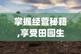 详细解析默途手机版全攻略：怎样合理安排行程并有效利用资源提升游戏体验