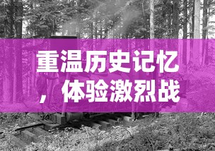 再现历史人物魅力，聚焦人物魅力及影响力，以'"遇见尊上：深入解析国家领导人及其时代背景对社会发展的深远影响"为主题