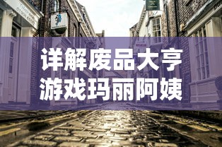 详解废品大亨游戏玛丽阿姨房子钟寻找之谜：掌握技巧，正确找出钟的位置