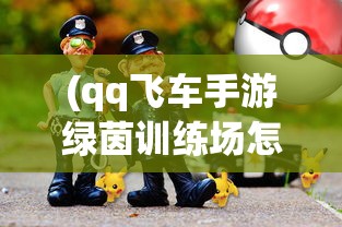 (qq飞车手游绿茵训练场怎么进去)深入探索QQ飞车游戏：专业指南揭秘绿茵球场的精确位置