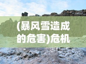 (暴风雪造成的危害)危机之后暴风雪袭击：探究极端气候对全球经济恢复的深远影响