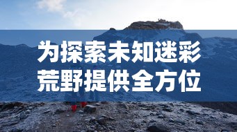 为探索未知迷彩荒野提供全方位解析：荒野冒险世界攻略大全之生存、探索与战斗策略全解析