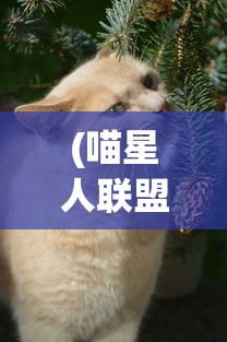 (喵星人联盟)探寻喵星联盟APP真名盘点：这款喜欢猫咪玩家的利器到底叫什么?