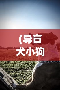 (导盲犬小狗动画片)汪汪汪奇迹再现：细数历年全球导盲犬逆袭故事中的感人时刻