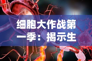 细胞大作战第一季:揭示生命奥秘,带你深度了解人体免疫系统运作机制 细胞大作战第一季:揭示生命奥秘,带你深度了解人体免疫系统运作机制