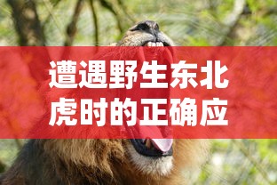 遭遇野生东北虎时的正确应对策略:保护生命和规避危险的实用指南 遭遇野生东北虎时的正确应对策略:保护生命和规避危险的实用指南