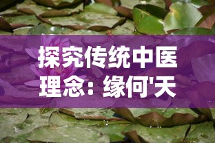 (亚马逊美国买东西寄到国内)如何在美国亚马逊购物后将商品寄回国内？步骤详解及费用分析