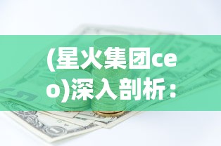 (星火集团ceo)深入剖析：星火商会的组织结构及其在商业运营中的关键作用