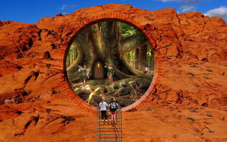 (无限冲激响应滤波器(iir)算法实验)深入探讨无限冲击响应滤波器在信号处理中的应用与设计原理 (无限冲激响应滤波器(iir)算法实验)深入探讨无限冲击响应滤波器在信号处理中的应用与设计原理