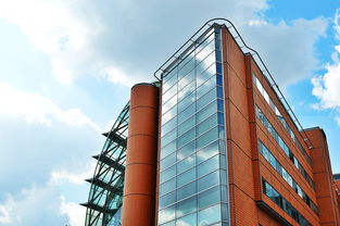 (暗影火炬城老沈在哪)暗影火炬城中沉睡的老鼠们是否掌握了城市的秘密? (暗影火炬城老沈在哪)暗影火炬城中沉睡的老鼠们是否掌握了城市的秘密?