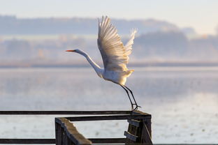 探索六界飞仙职业的魅力与玩法:如何在这个仙侠世界中创造属于你的传奇 探索六界飞仙职业的魅力与玩法:如何在这个仙侠世界中创造属于你的传奇