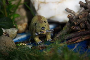 梦幻动物城免广告最新版！全新升级，畅快享受无广告游戏体验！