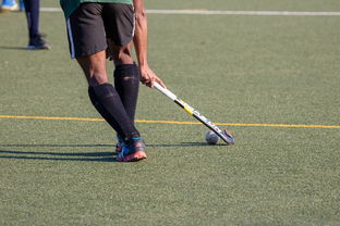 深度探究：乐高推理学院风靡一时之后为何会逐渐淡出人们视线，原因究竟在哪？