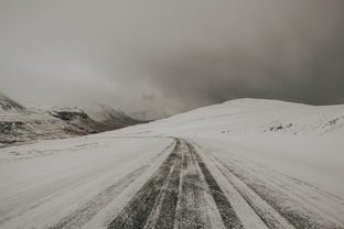 (暖雪什么时候上线)暖雪手游：探索冰雪世界的奇幻冒险，体验极致战斗与策略乐趣