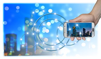 (灵魂宝戒 开服)灵魂宝戒停服原因分析：为什么这款游戏突然热度减退？