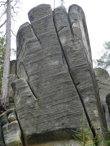 (圣境之塔怎么样)圣境之塔宝箱位置大全，揭秘每层宝藏位置，攻略无遗漏！