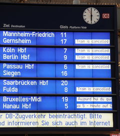 (爱飞翔的小鸟游戏)小鸟爱飞翔兑换码最新章节列表大揭秘，助你畅享飞翔世界