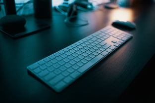 王者荣耀id查qq查询器：快速查询并关联您的游戏账号，一键获取详细资料