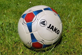 (热血篮球赛手游版下载)2020最新版热血篮球赛手机版下载4399，激情篮球赛事等你来战!