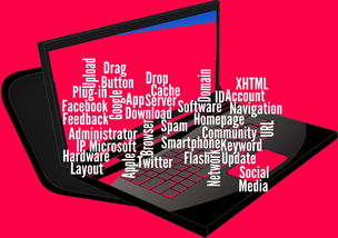 英雄绘卷折相思：从寂寞沙洲中、青丝白发间领略英勇无畏的古代武者之情感世界
