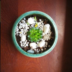 (篮球赛的一些热血沸腾的句子)打破常规，燃爆全场！感受热血篮球赛的激情与梦想