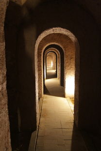 (荣耀舰队里面战舰排名)征服星海：揭秘荣耀舰队最强战舰的无比威力和科技秘密