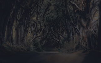 特工大侠全新身份揭露：跳一跳大冒险游戏中化身特工，以巧妙策略诡秘行动探秘谜团