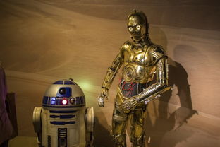 (放置海岛官方网站)放置海岛停服了吗？最新消息揭秘，玩家们该如何应对？